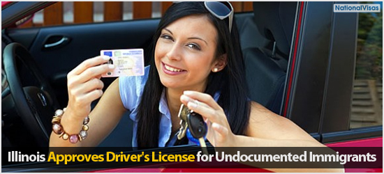 "Illinois Approves Driver's License for Undocumented Immigrants"